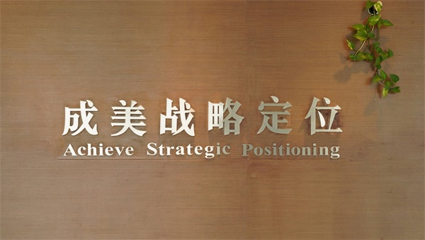 國(guó)內(nèi)好的品牌戰(zhàn)略定位公司有哪些？